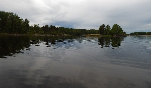 Локация где проводится чемпионат
